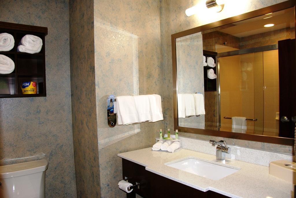 Holiday Inn Express & Suites St Louis Airport By Ihg Woodson Terrace Room photo